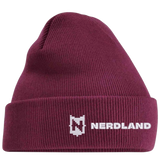NERDLAND - FULL LOGO (MUTS)